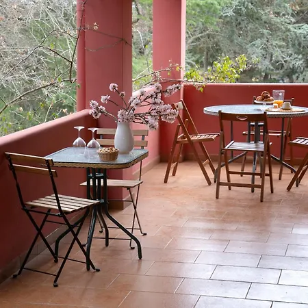 Dan - In Monopoli Impalata