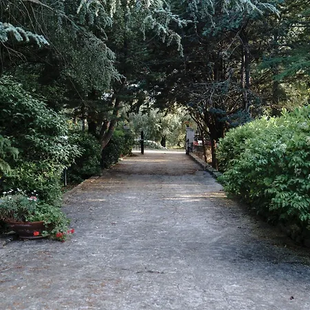 Dan - In Monopoli Guest house