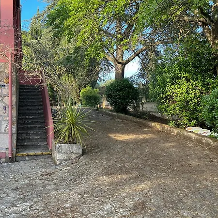Dan - In Monopoli