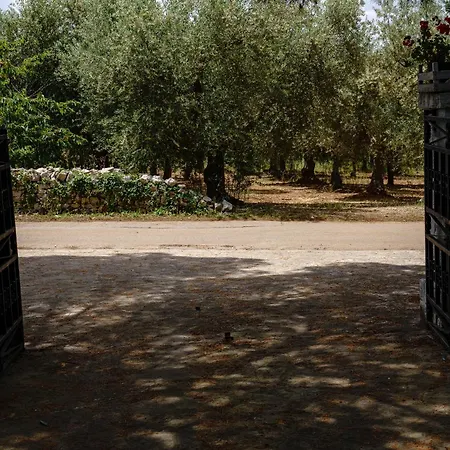 Dan - In Monopoli 3*