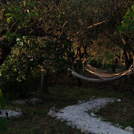 게스트하우스 Dan - In Monopoli 3*