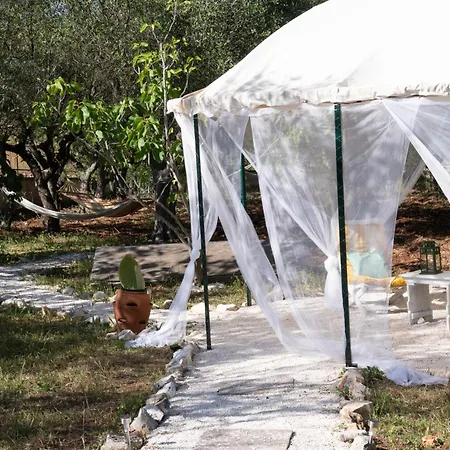 Dan - In Monopoli 게스트하우스