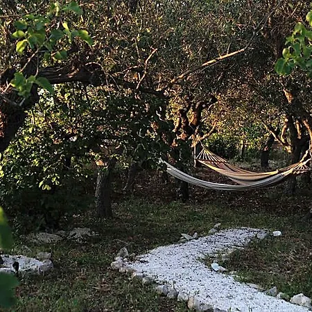 Dan - In Monopoli