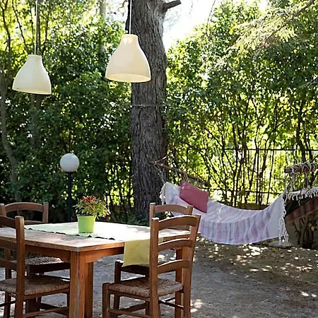 Dan - In Monopoli